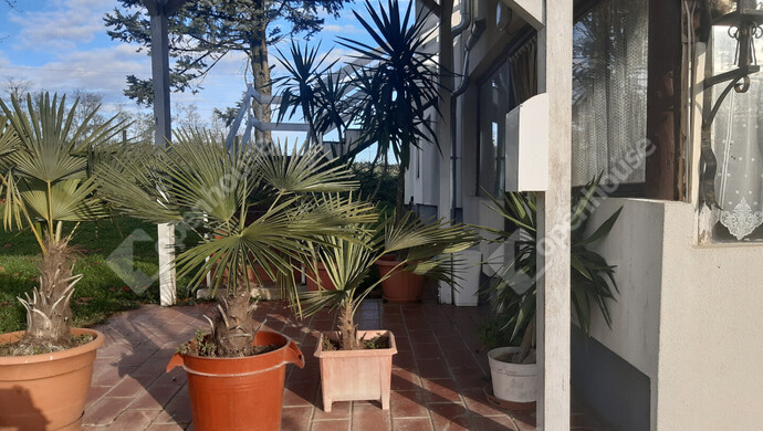 22. kép | Eladó Kereskedelmi ingatlan, Rigyác (#178452)