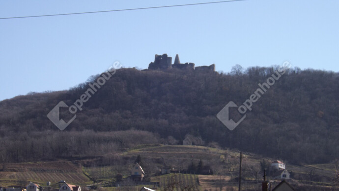 37. kép | Eladó Családi ház, Somlószőlős (#179906)