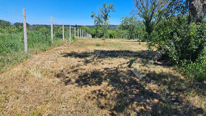2. kép | Eladó Telek, Balatonszárszó (#182669)