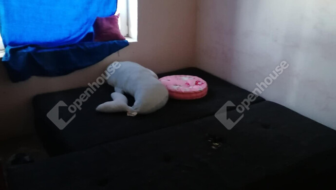 7. kép | Eladó Zárt kert, Győr (#178646)