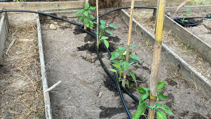 18. kép | Eladó Zárt kert, Bőny (#180133)