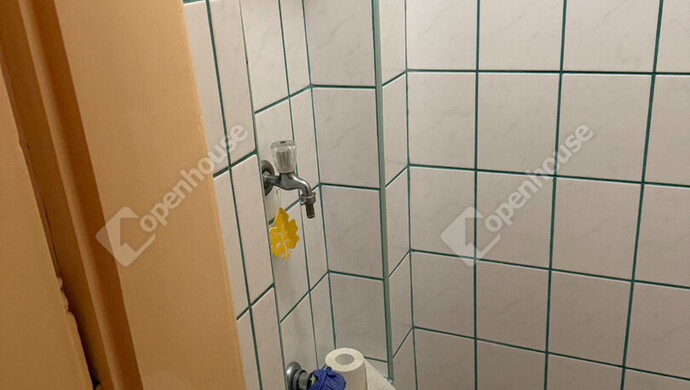 2. kép | wc | Eladó Társasházi lakás, Budapest VI. Ker. (#176843)