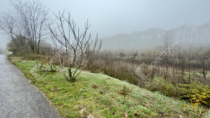 1. kép | Eladó Családi ház, Káva (#178478)