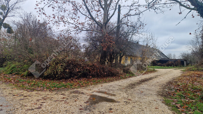 7. kép | Eladó Sorház, Mocsa (#178645)