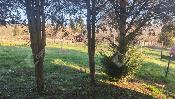 75. kép | Eladó Nyaraló, Becsehely (#180205)