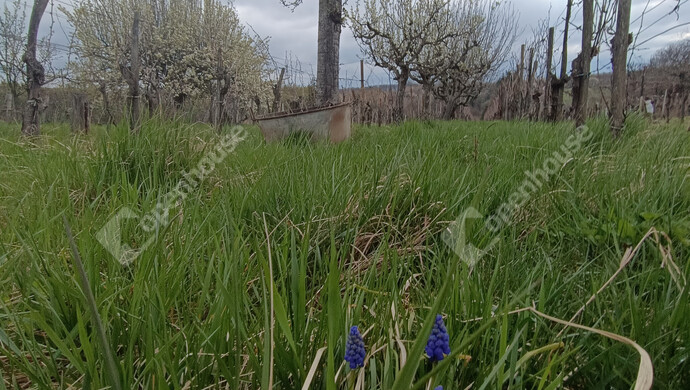 24. kép | Eladó Családi ház, Nagykanizsa (#180983)