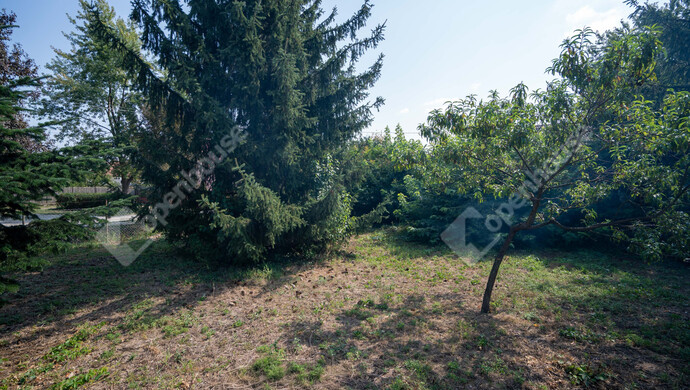 31. kép | Eladó Családi ház, Tiszalúc (#176981)