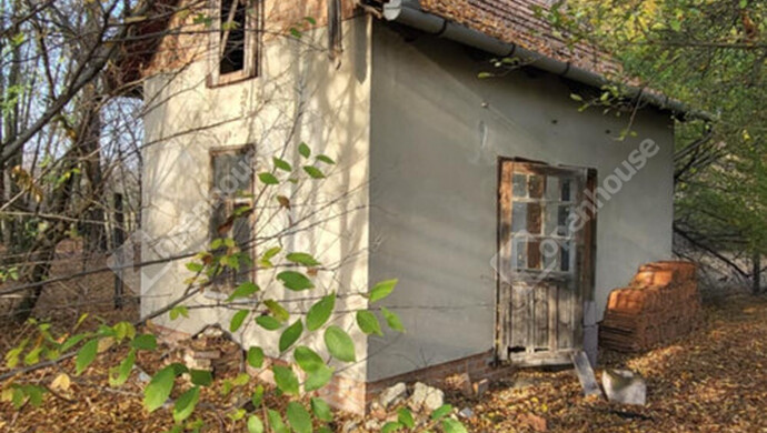 7. kép | Eladó Mezőgazdasági, Zsombó (#178321)