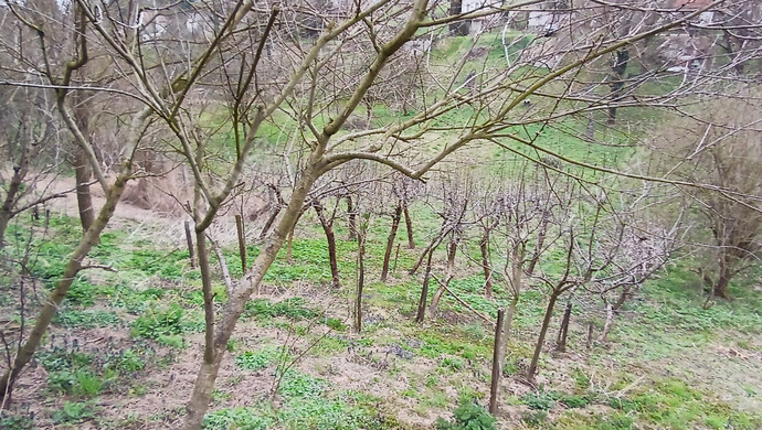 18. kép | Eladó Zárt kert, Vasvár (#180645)