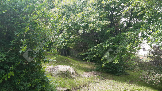 78. kép | Eladó Nyaraló, Nagykanizsa (#175145)
