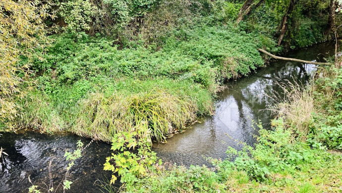 8. kép | Eladó Telek, Zalalövő (#177574)