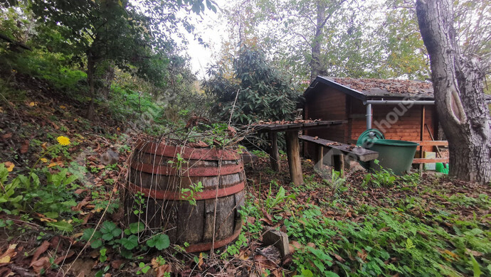 20. kép | Eladó Nyaraló, Homokkomárom (#179217)