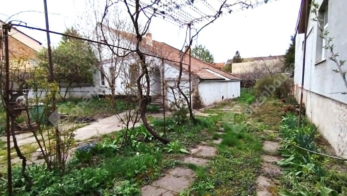 2. kép | Eladó Családi ház, Szeged (#182848)