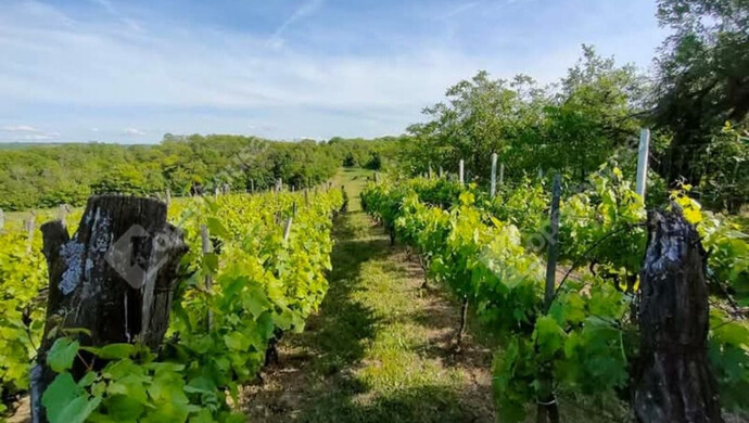 7. kép | Eladó Telek, Kőröshegy (#176631)