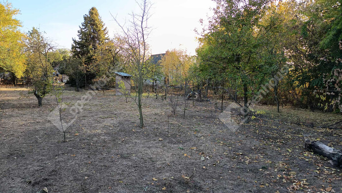 6. kép | Eladó Zárt kert, Szeged (#178419)