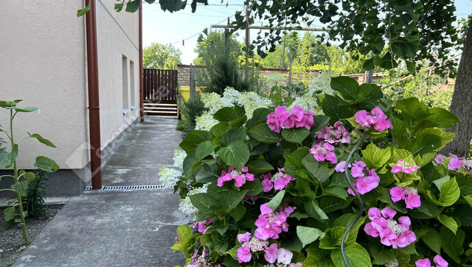 33. kép | Eladó Családi ház, Balatonmáriafürdő (#178039)