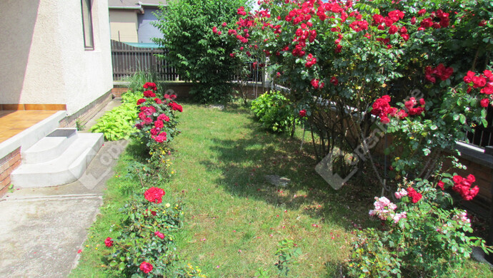 1. kép | Eladó Családi ház, Miskolc (#176212)