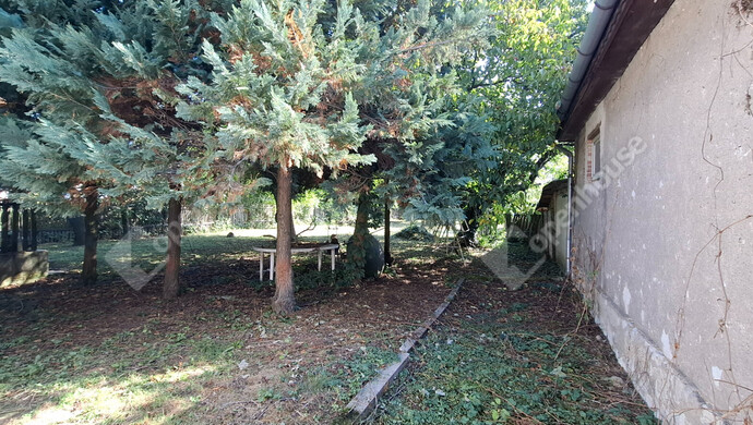 11. kép | Eladó Családi ház, Pálháza (#173726)