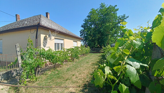 2. kép | Eladó Családi ház, Buzsák (#177690)