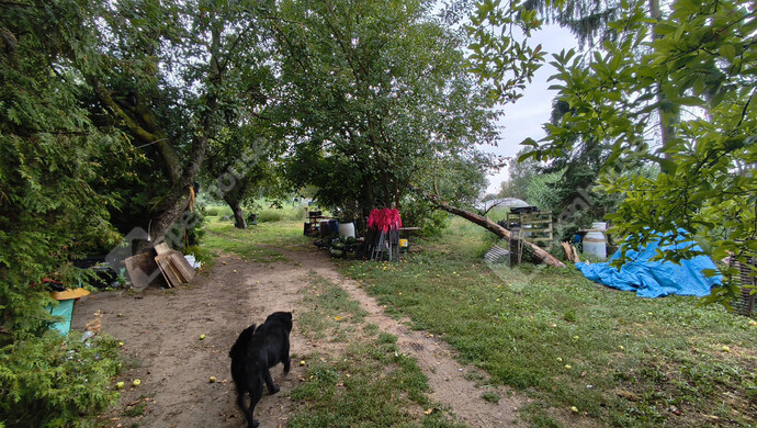 13. kép | Eladó Családi ház, Marcali (#177836)