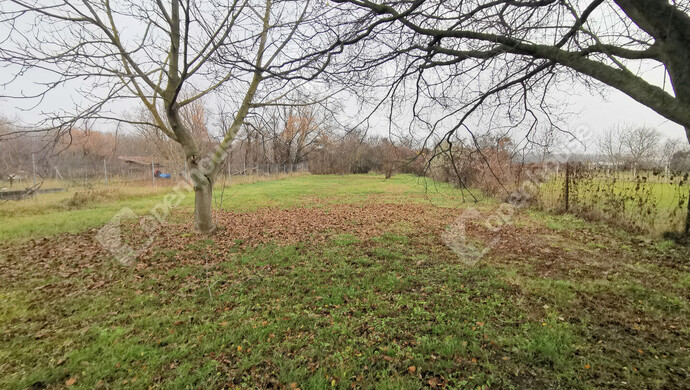 1. kép | Eladó Telek, Pákozd (#178745)