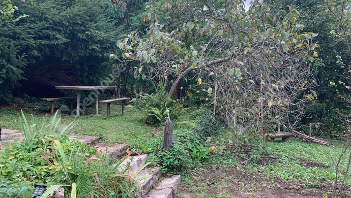 12. kép | Eladó Nyaraló, Kőszeg (#177306)