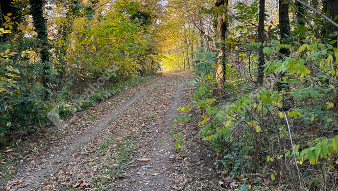 16. kép | Eladó Nyaraló, Egervár (#178107)