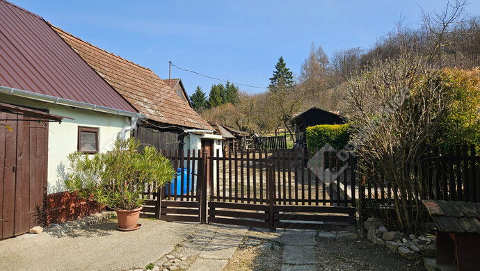 11. kép | Eladó Családi ház, Tényő (#180363)