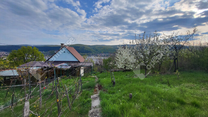 10. kép | Eladó Családi ház, Miskolc (#181067)