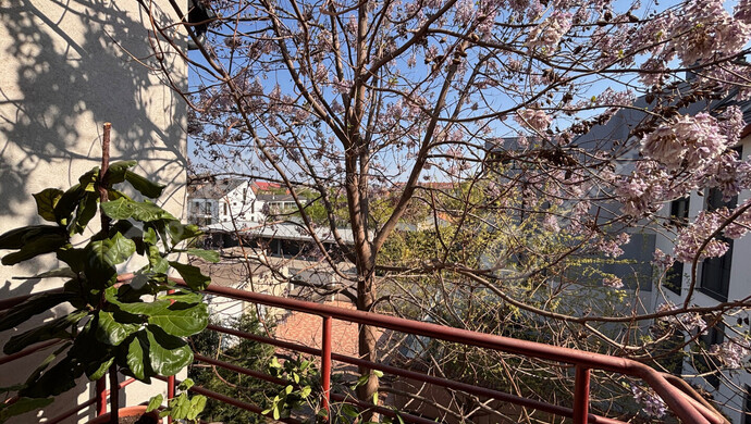 13. kép | Eladó Társasházi lakás, Szeged (#179604)