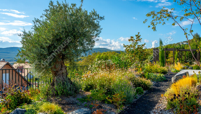 15. kép | Eladó Családi ház, Szentendre (#178054)