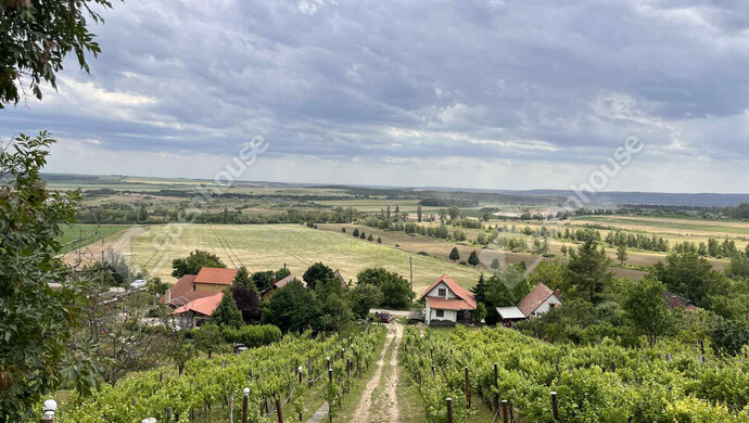 1. kép | Eladó Zárt kert, Csákberény (#175601)