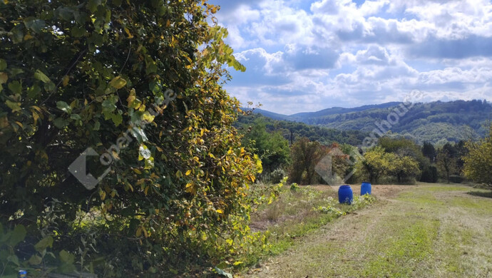 1. kép | Eladó Telek, Zalaegerszeg (#177303)