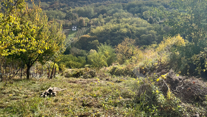 1. kép | Eladó Zárt kert, Pethőhenye (#178674)