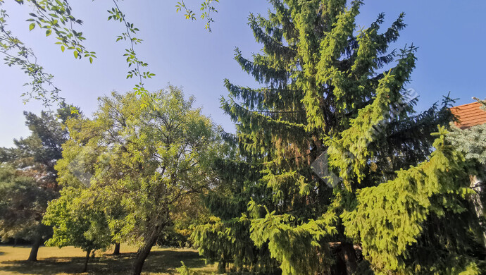 9. kép | Eladó Családi ház, Velence (#176787)