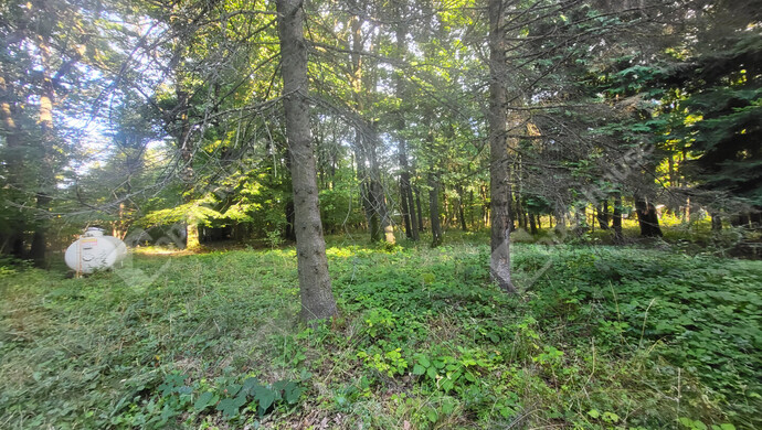 15. kép | Eladó Családi ház, Pilisszentkereszt (#177077)