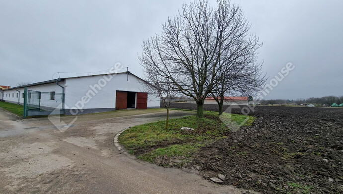 0. kép | Kiadó Ipari ingatlan, Komárom (#179013)