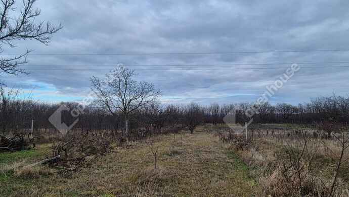 6. kép | Kert végében erdő | Eladó Telek, Sülysáp (#178797)