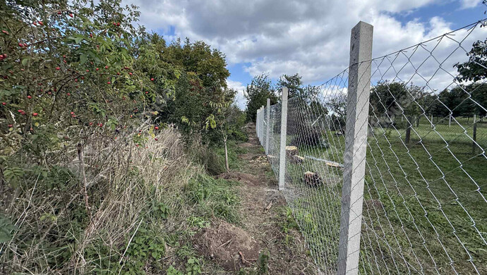 6. kép | Eladó Családi ház, Sárvár (#178310)