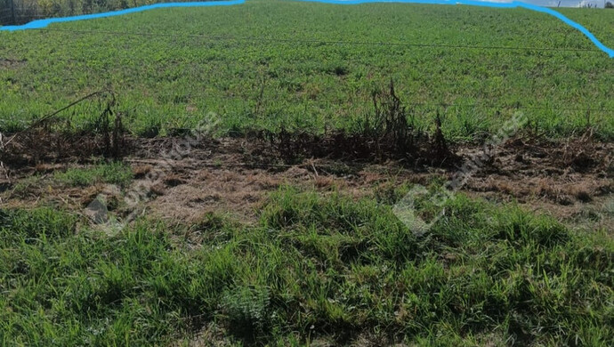 20. kép | Eladó Családi ház, Szilvágy (#178519)