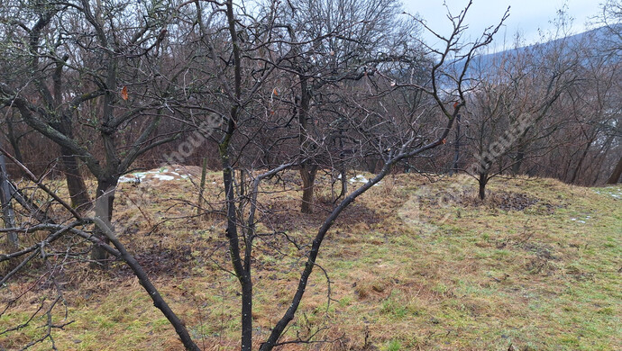 4. kép | Eladó Zárt kert, Miskolc (#179464)