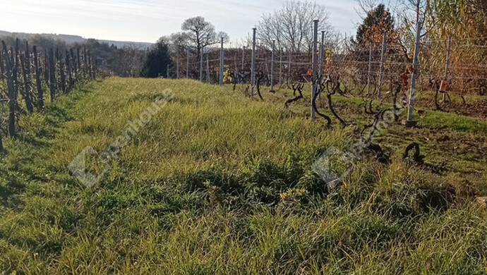 11. kép | Eladó Nyaraló, Zalaegerszeg (#178251)