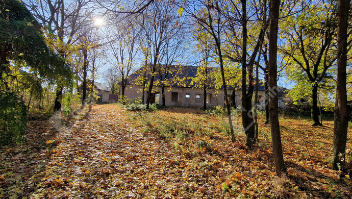 1. kép | Eladó Kúria, Bőny (#178351)