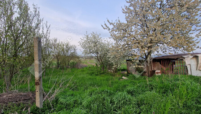 10. kép | Eladó Családi ház, Csép (#181084)