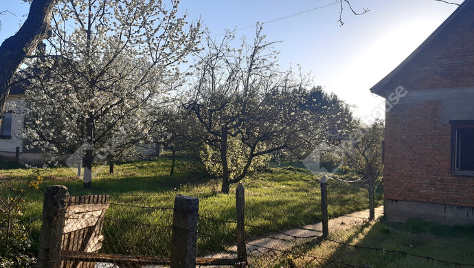 66. kép | Eladó Családi ház, Belezna (#180874)