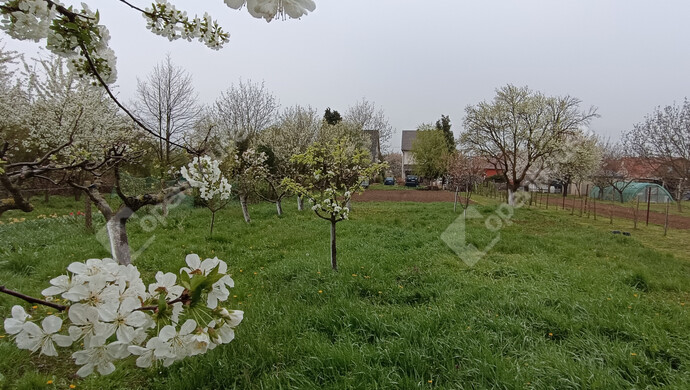 34. kép | Eladó Családi ház, Nagykanizsa (#181326)