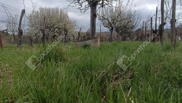 15. kép | Eladó Családi ház, Nagykanizsa (#180983)