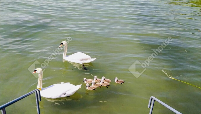 35. kép | Eladó Téglaépítésű lakás, Siófok (#178170)