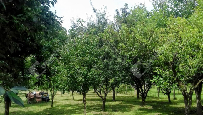 27. kép | Eladó Családi ház, Marcali (#179117)