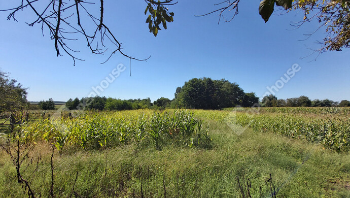 3. kép | Eladó Családi ház, Mesztegnyő (#177816)